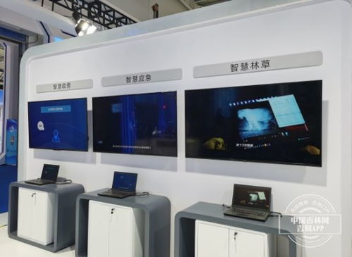 华为亮相展会 为 数字吉林 带来了什么