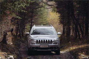 宏润广汽菲克途吉 卓越品质与越野魅力的完美融合